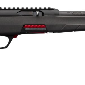 WILDCAT 22LR 18" BL/SY AS RAIL