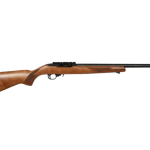 10/22 SPRT 22LR BL/WD 20" 10+1
